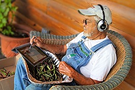 ipad,农场,国家