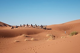 沙漠,骆驼,旅行