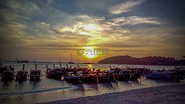 travelspice,行进图片,travelspice资金