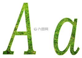 字母,字母表,设计