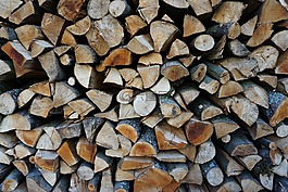 木,山毛榉柴火,holzstapel