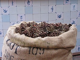 松果,秋季,装饰