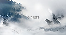 狼,狼群,赫尔
