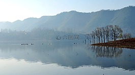 晨雾,水面,倒影