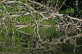 波兰,ostpreußen,masuria