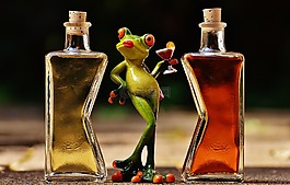 青蛙,小鸡,饮料