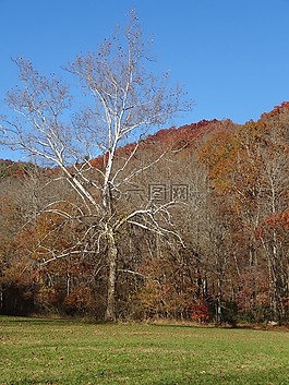 公园,秋,山