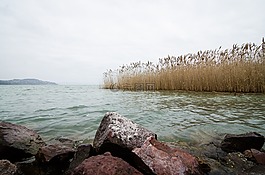 巴拉顿湖,湖,匈牙利