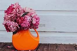 美丽,盛开,开花