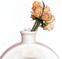 干花,玫瑰,花束