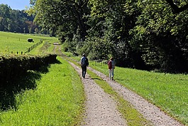 性质,徒步旅行,步行