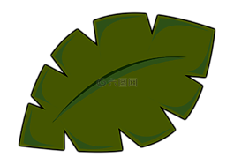棕榈叶,棕榈,叶