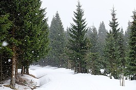 jizerka,雪,下雪