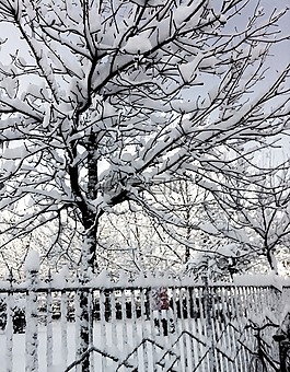 雪景,冬天,北京