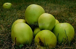 苹果,水果,obsthaufen