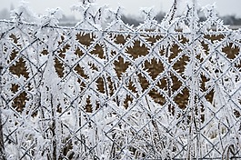 凝胶,关闭,冬天