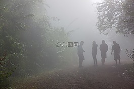 雾,旅游,冬天的天气