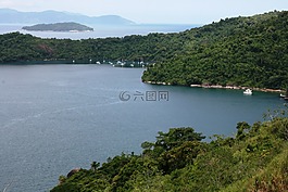 mar,热带植被,大西洋森林
