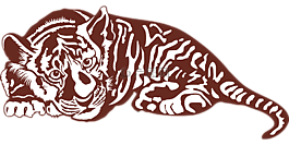 虎,野猫,苏门答腊虎