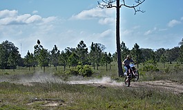 wheele,骑,权力