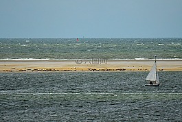 密封长椅,borkum,密封件