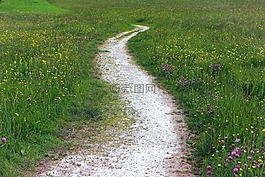 线索,巷,草地