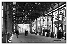 科威特,露天市场,市场