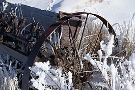 车轮,霜,播种机