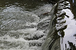 水,级联,水课程