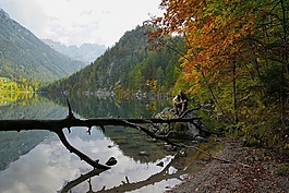 埃尔毛,凯撒山麓舍福（scheffau）,奥地利