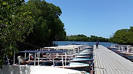 斯廷加,玛格丽塔,委内瑞拉