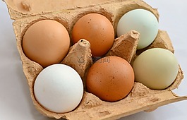 蛋,褐壳蛋,绿色休闲