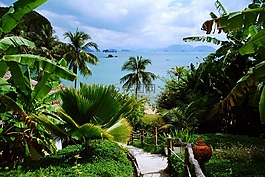预订,海,泰国