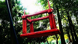 环境,抽象,公园