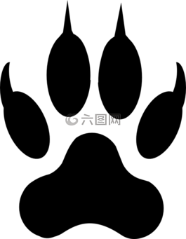 狼,脚印,狮子