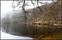 大自然,söderåsen 国家公园,skåne