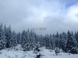 wlad,假期,冬天
