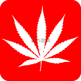 大麻,药物,叶