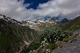布鲁斯区域,山,高加索地区