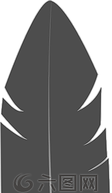 羽毛,灰色,侧影