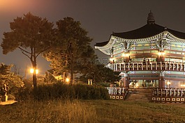 八角亭,生物多样性公约,夜景