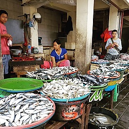 巴厘岛,霍利迪斯,印度尼西亚