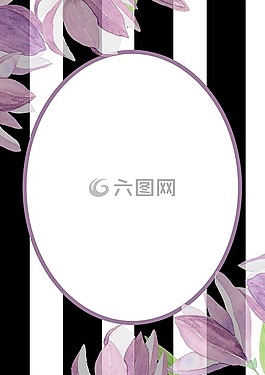 文凭,优雅文凭,白色和黑色