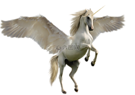 独角兽,幻想,马