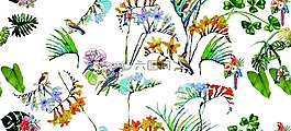 粉色,花,数码