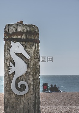 布赖顿,木,海马