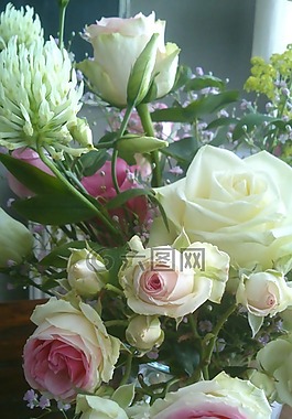 鲜花,花束,束花
