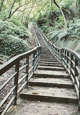 楼梯,逐步,坡道的