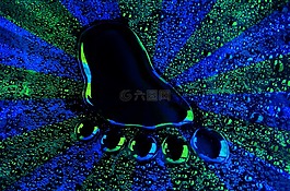 波普艺术,雨,meme