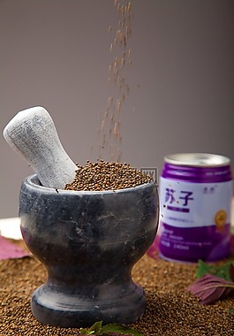 砂浆,种子,磅